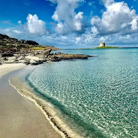 Del Porto Villa Stintino